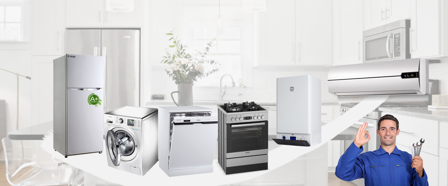 Mihalıççık Gaggenau Servisi